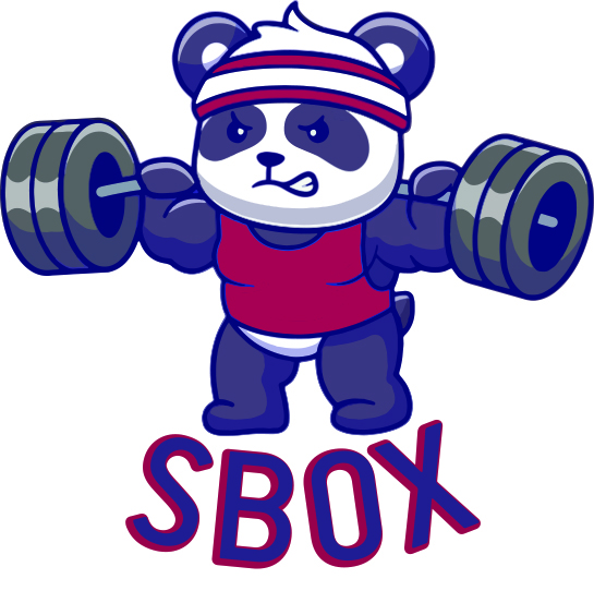 SBOX Training